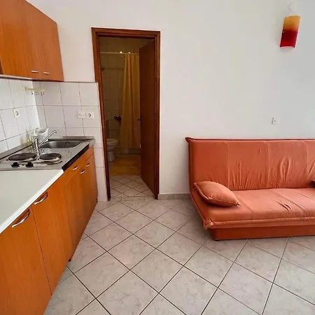 Family With Balcony D&a Ae1590 Apartment Vrsi